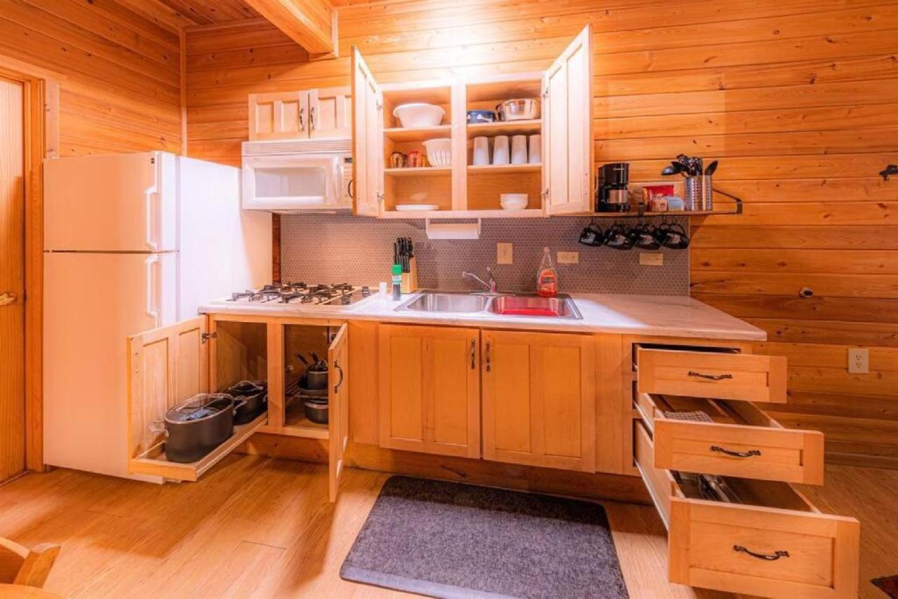 Cabin #3 Rainbow Trout - Pet Friendly- Sleeps 6 - Playground & Game Room 佩森 外观 照片