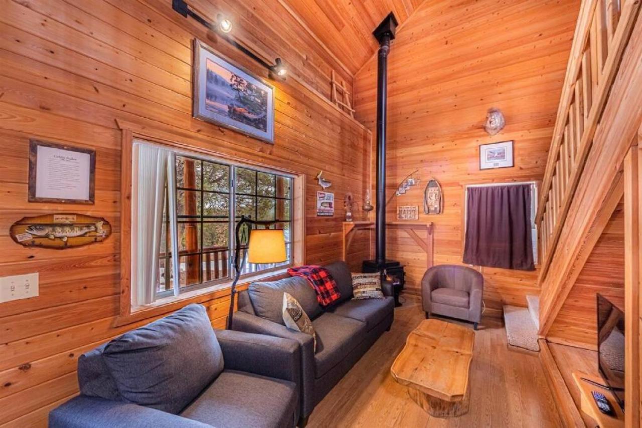 Cabin #3 Rainbow Trout - Pet Friendly- Sleeps 6 - Playground & Game Room 佩森 外观 照片